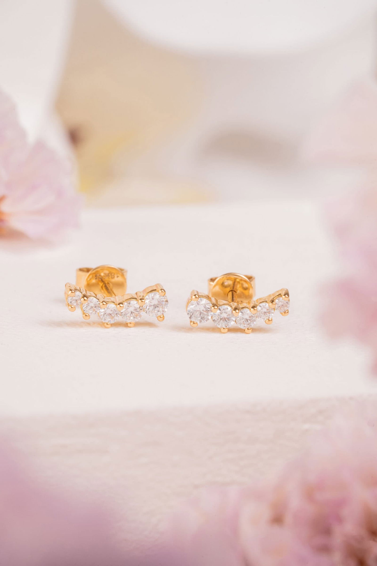 Aretes Degradé